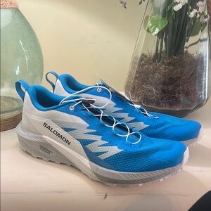 Salomon Men's SENSE RIDE 5 Trail Running Shoes for Men, Ibiza Blue